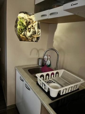 Salt & Soul Apartment Senj  Luaran gambar